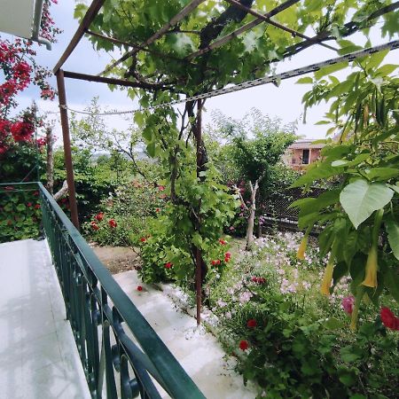 Corfu Countryside Apartment Potamós Dış mekan fotoğraf