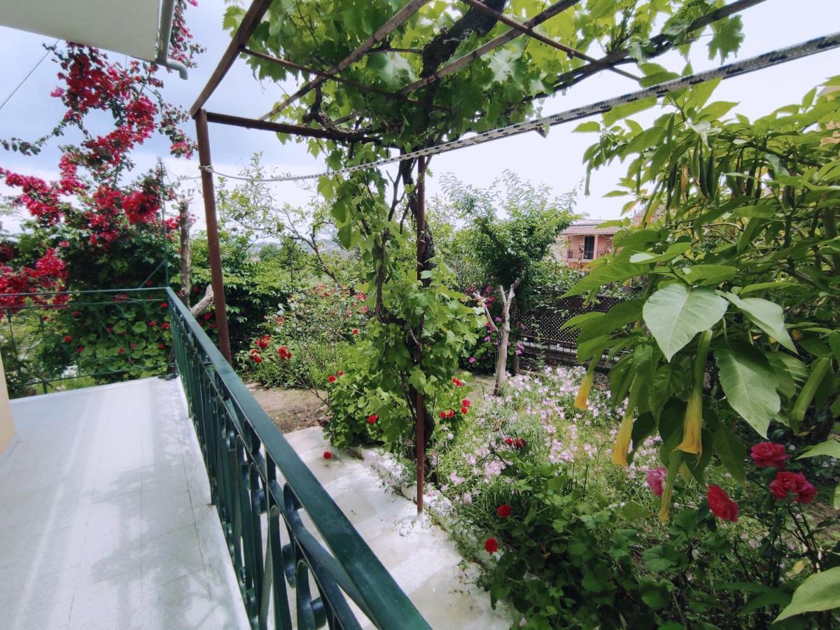 Corfu Countryside Apartment Potamós Dış mekan fotoğraf